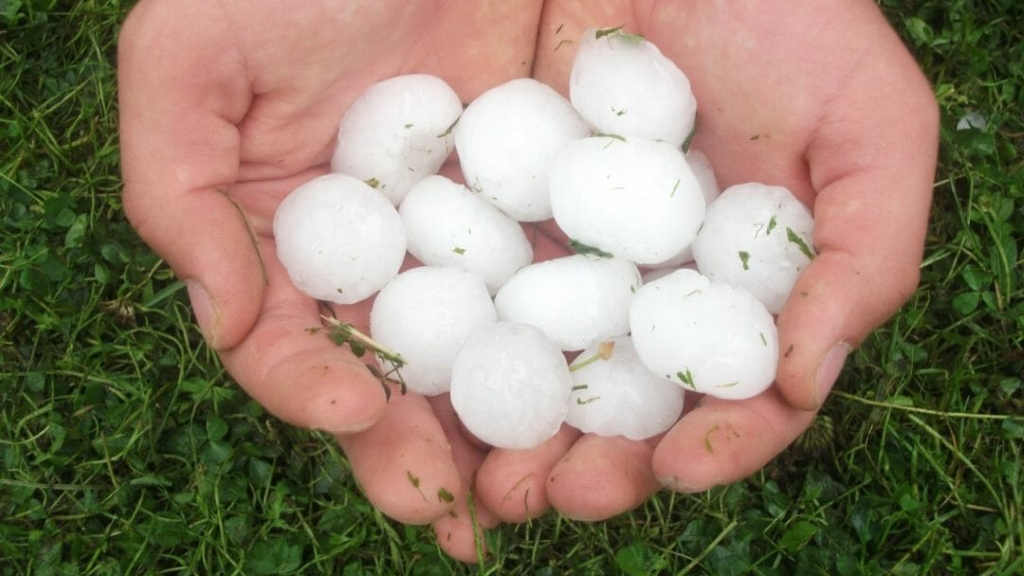 What to do when car is damaged by hail in tucson